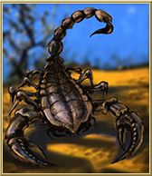 skorpion